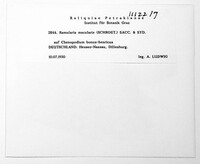 Image Associated With the Occurence
